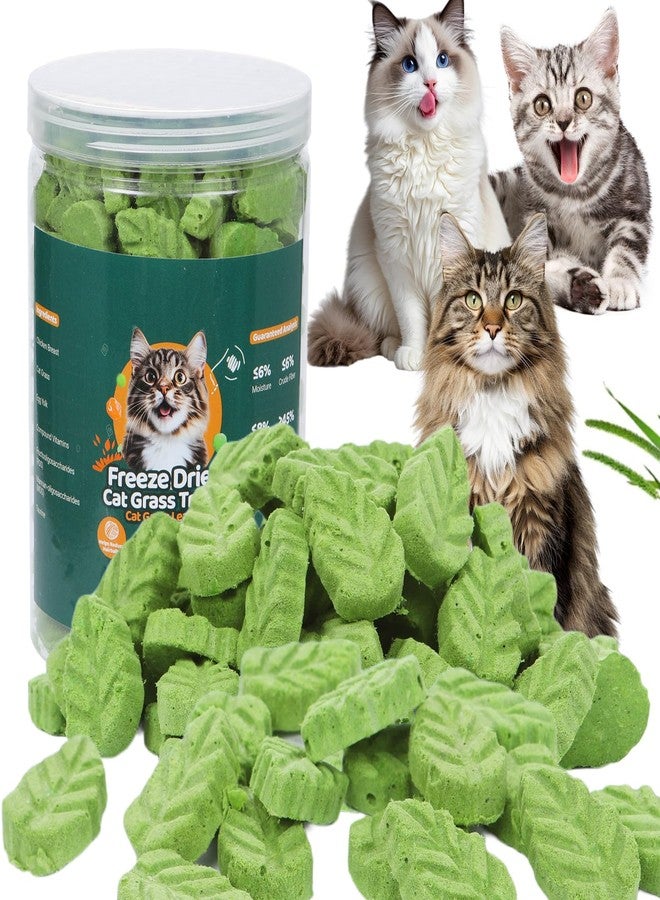 SuPruida 80g Cat Grass Treats for Indoor Cats, Freezed Drying Cat Grass Teething Stick for Hairball Remove Treatment Teeth Cleaning and Dental Care, Edible Kitty Chew Toy Snack - Image 1